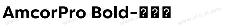 AmcorPro Bold字体转换